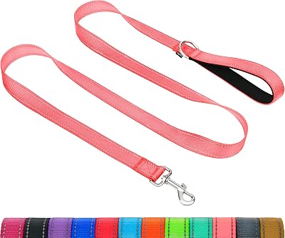 Taglory Dog Leash Pink Double Sided Reflective 2 cm x 120 cm
