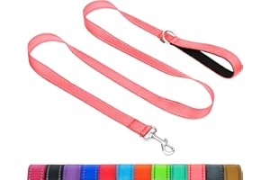 Taglory Dog Leash for Small Dogs, Double-Sided Reflective Leash with Soft Neoprene Padded Handle, 3/4 inch by 6 ft, Fit Small Medium Large Breeds Under 20 lbs, Pink