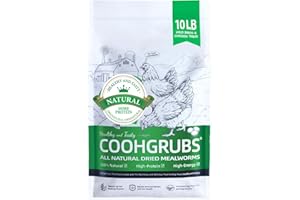 COOHGRUBS Dried Mealworms for Birds, Non-GMO High Protein Chicken Treats & Poultry Feed, 10 lb Bag