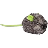 jackson galaxy gravity tower