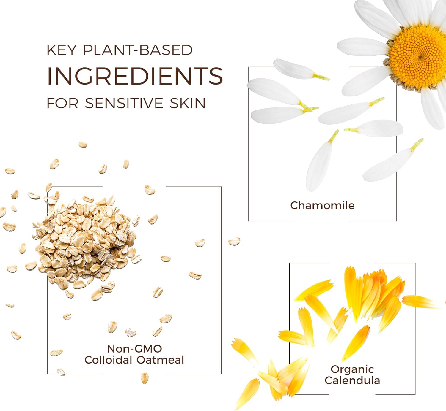 babo botanicals moisturizing baby shampoo & wash