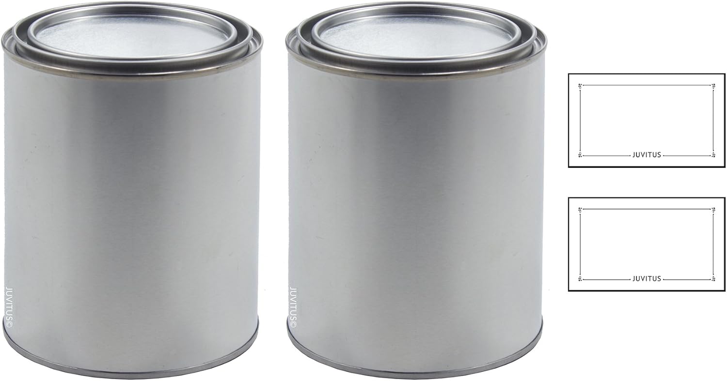 1 Quart Empty Steel Paint Can with Lid (Untreated and
