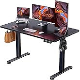 ErGear 48 X 24 Inch Height Adjustable Electric Standing Desk, Black | Stand Up office Desk, Home Office Computer Desk with 4 Memory Presets, Stable Steel Frame, 176 lbs Capacity, Easy Assembly