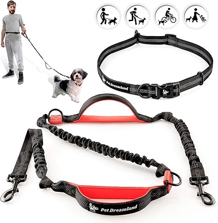 articulos para perros amazon