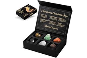 AOVILA Capricorn Crystals Gift Set, Zodiac Signs Healing Crystals Birthstones with Horoscope Box Set Capricorn Astrology Crystals Healing Stones Gifts