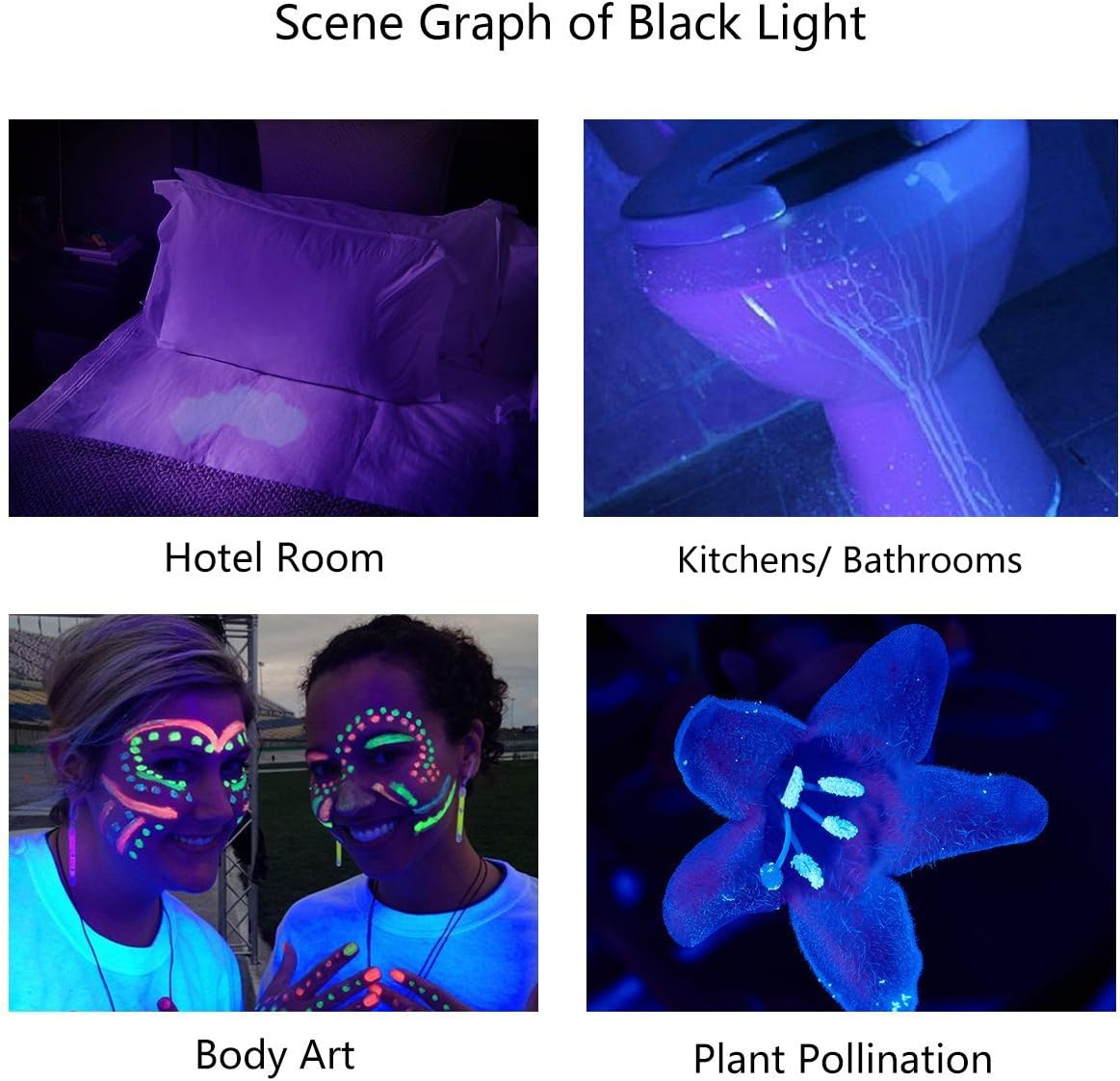 Escolite UV Flashlight Black Light, 51 LED 395 nM Ultraviolet Blacklight Detector for Dog Urine, Pet Stains and Bed Bug: Sports & Outdoors