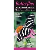 Butterflies of Central Texas: A Guide to Common & Notable Species