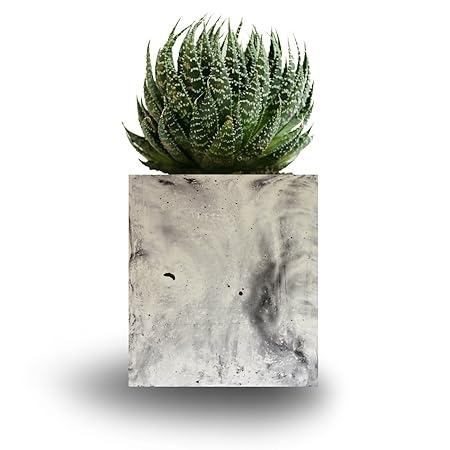 Paradox Rectangle Cement Planter/Vase / Flower Pot/Home Decor