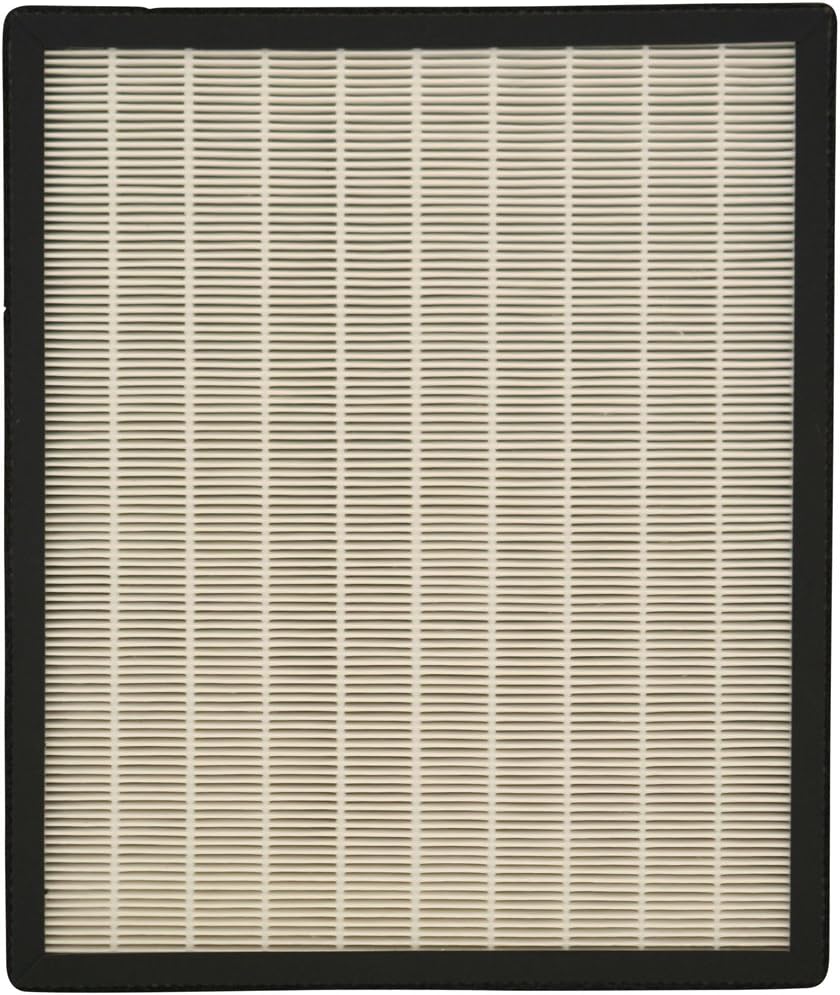 Replacement HEPA & Carbon Filter Set (2 in 1)for NaturoPure & Intelli-Pro Air Purifier XJ-3800, HF380, HF380A and ST-3800A