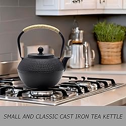 Cast Iron Tea Pot Set, Japanese Tetsubin Tea Kettle