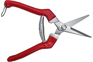 TABOR TOOLS K77A Straight Pruning Shears with Stainless Steel Blades, Florist Scissors, Multi-Tasking Garden Snips for Arranging Flowers, Trimming Plants, Harvesting Herbs, Fruits or Vegetables.