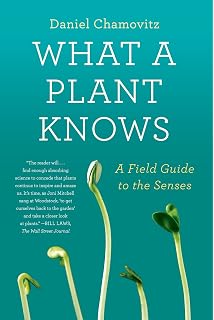 The Secret Life Of Plants