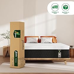JEEKEA Queen Mattress in a Box - 10 Inch Memory