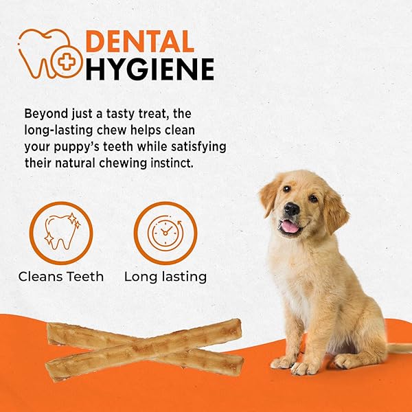 CANINE NATURALS PUPPY CHICKEN AND RICE CHEW – RAWHIDE FREE PUPPY TREATS – MADE WITH USA CHICKEN – ALL-NATURAL & EASILY DIGESTIBLE – 40 PACK OF 5-INCH STICKS FOR PUPPIES