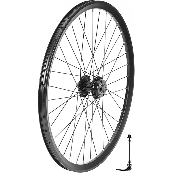 The Wheel Shop 24" EVO E-Tour 20 Rear Wheel - 36 Spoke Bolt-On Freewheel Silver/Stainless