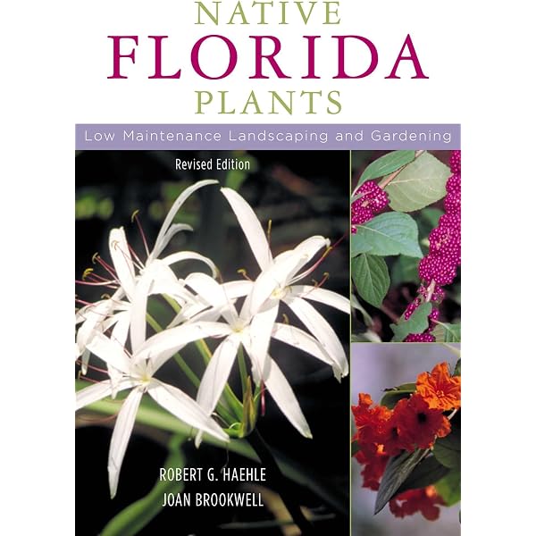 Gardening With Grasses: King, Michael: 9780881924114: Amazon.com