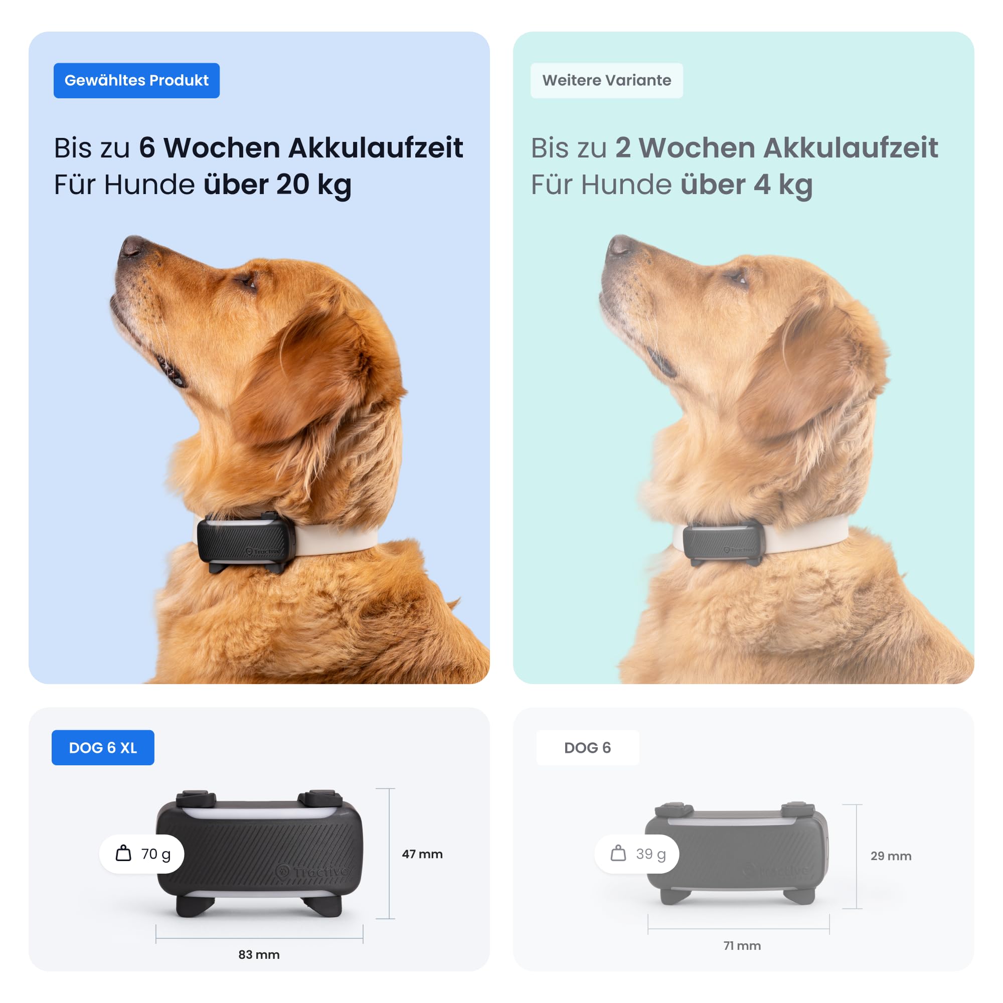 Tractive XL Smarter Hunde GPS Tracker | Modell 2026 | Live-GPS-Ortung | Weglaufalarm & Gesundheitswarnungen | Überwachung der Vitalwerte | Lange Akkulaufzeit | Empfohlen von Martin Rütter (Schwarz) 6