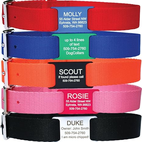 GoTags Dog Collar with Slide-on Dog Tag 