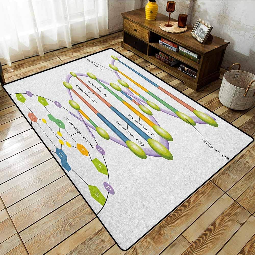 Classroom Rug,Educational,Colorful Structure of DNA Genetic Code Amino Acids Nucleotides Scientific Study,Ideal Gift for Children,5'10"x7'10" Multicolor