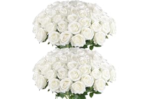 Hananona Artificial Roses in Bulk, Fake Velvet Silk Roses Realistic Rose for Wedding Centerpieces Flower Arrangement Home Decor (50, White)