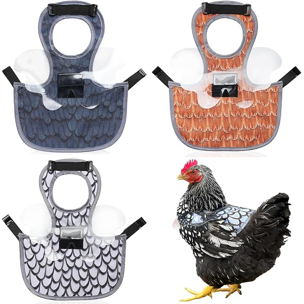 Delantales Protectores Para Gallinas - Pack De 2 Unidades, Elásticos Y Lavables, Protegen La Espalda Y Alas