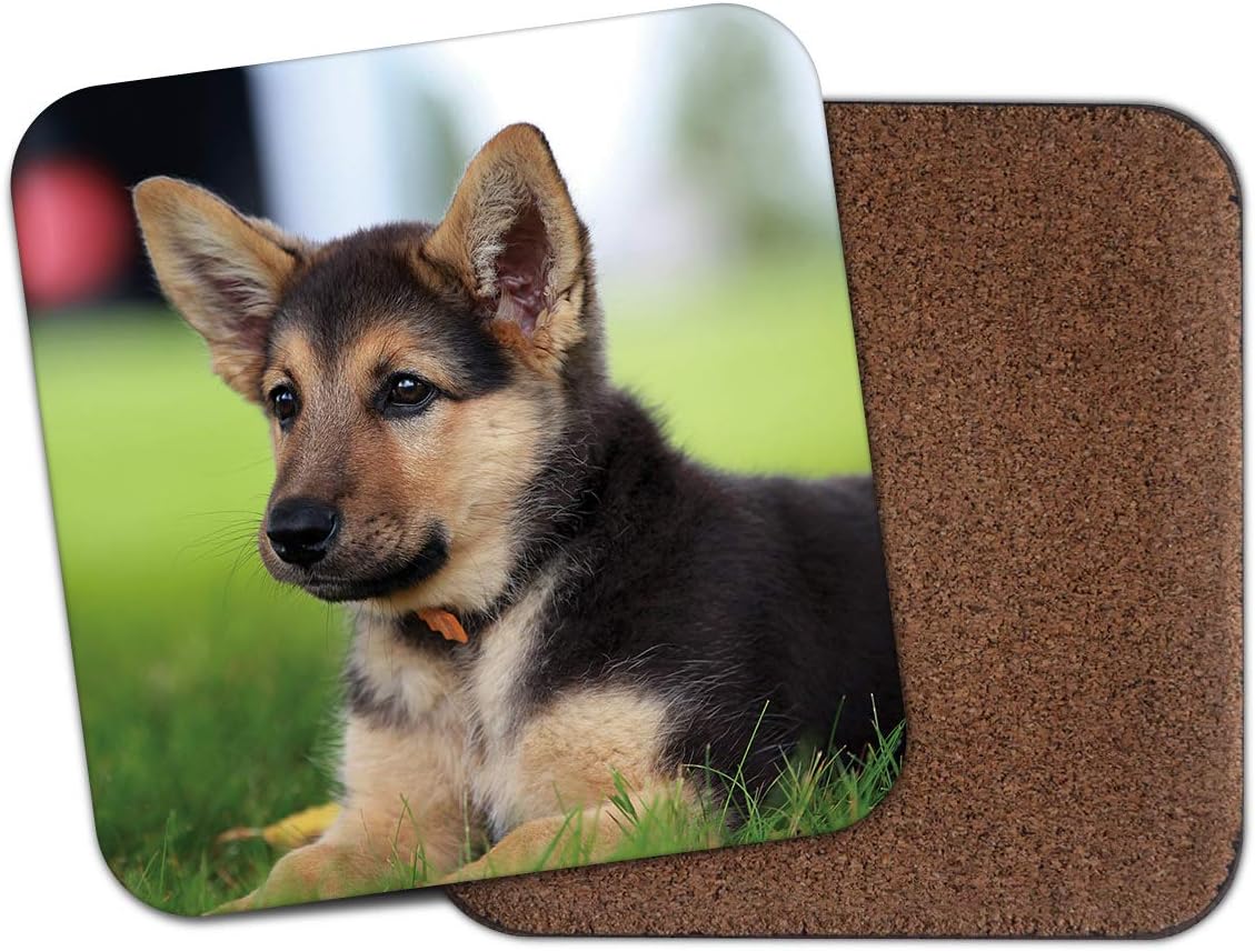 cute alsatian puppies