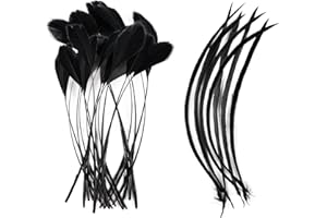 MehelloFeather Black Feathers 120Pcs Craft Feathers 2 Style for Handmade DIY Wedding Family Party Decorations Mixed Natural Feathers