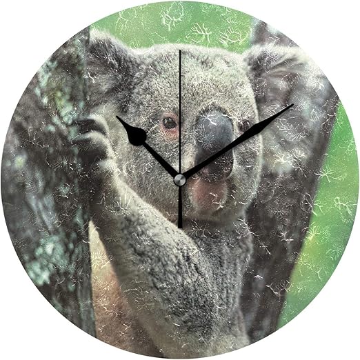 Amazon Com Amehome Koala On The Tree Round Acrylic Wall Clock Non