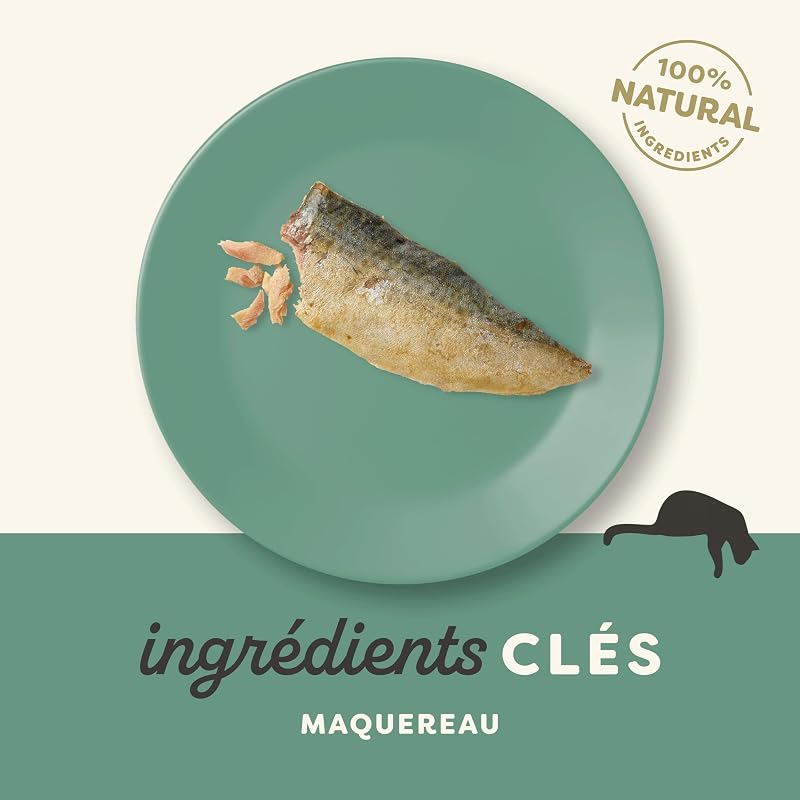 100% Friandise naturelle pour chat - Longe de maquereau pour chaton, Chats adultes et âgés - Lot de 12 sachets de 30 g