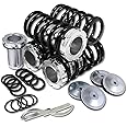 Auto Dynasty Compatible with Civic/CRX/Del Sol/Integra Aluminum Scaled Coilover Kit Set (Black Springs Silver Sleeves) - EG EK DC