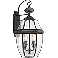 Quoizel Newbury 20" Outdoor Wall Lantern, 2-Light Medici Bronze with Clear Beveled Glass, E12 Base, French Country Style