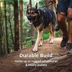 Ruffwear, Front Range Dog Harness, Reflective and