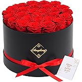 Changshunqi Forever Flowers Preserved Roses, 27 Roses Preserved Flowers in Box for Delivery Women Birthday Gifts Eternal Rose Flowers Gifts for Mom Grandma Her Wife Anniversary Mother's Day Girlfriend