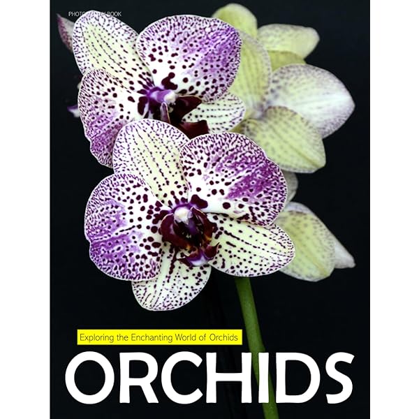 『ORCHIDS』ALEC PRIDGEON The Illustrated Encyclopedia of Orchids: Pridgeon, Alec, Morrison