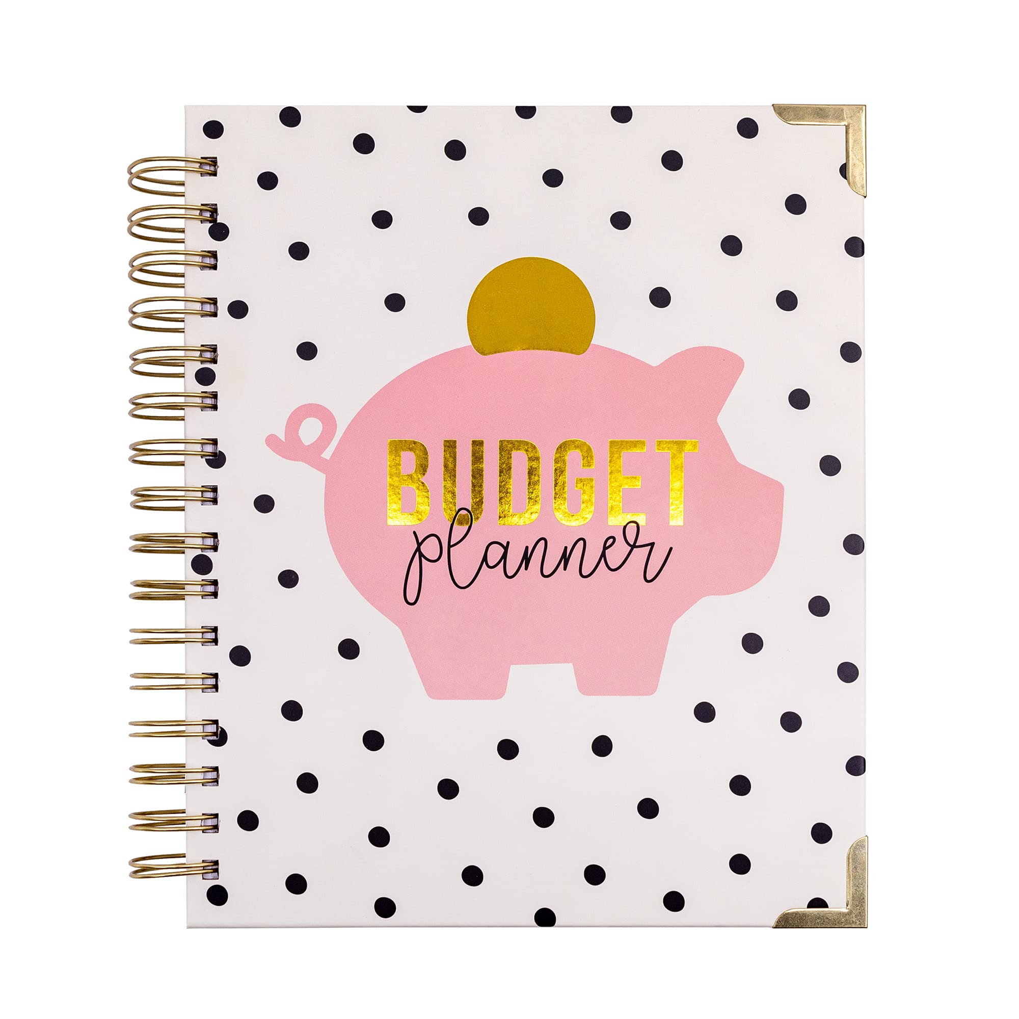 Pukka Pad, Carpe Diem Undated Budget Planner Notebook – Included 12 Months of Budget Planning Tools and Goals with 2 Sticker Sheets and Interior Pocket
