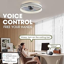 LUDOMIDE Smart Ceiling Fan with