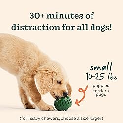 WOOF Pupsicle - Long-Lasting Interactive Dog Toy to
