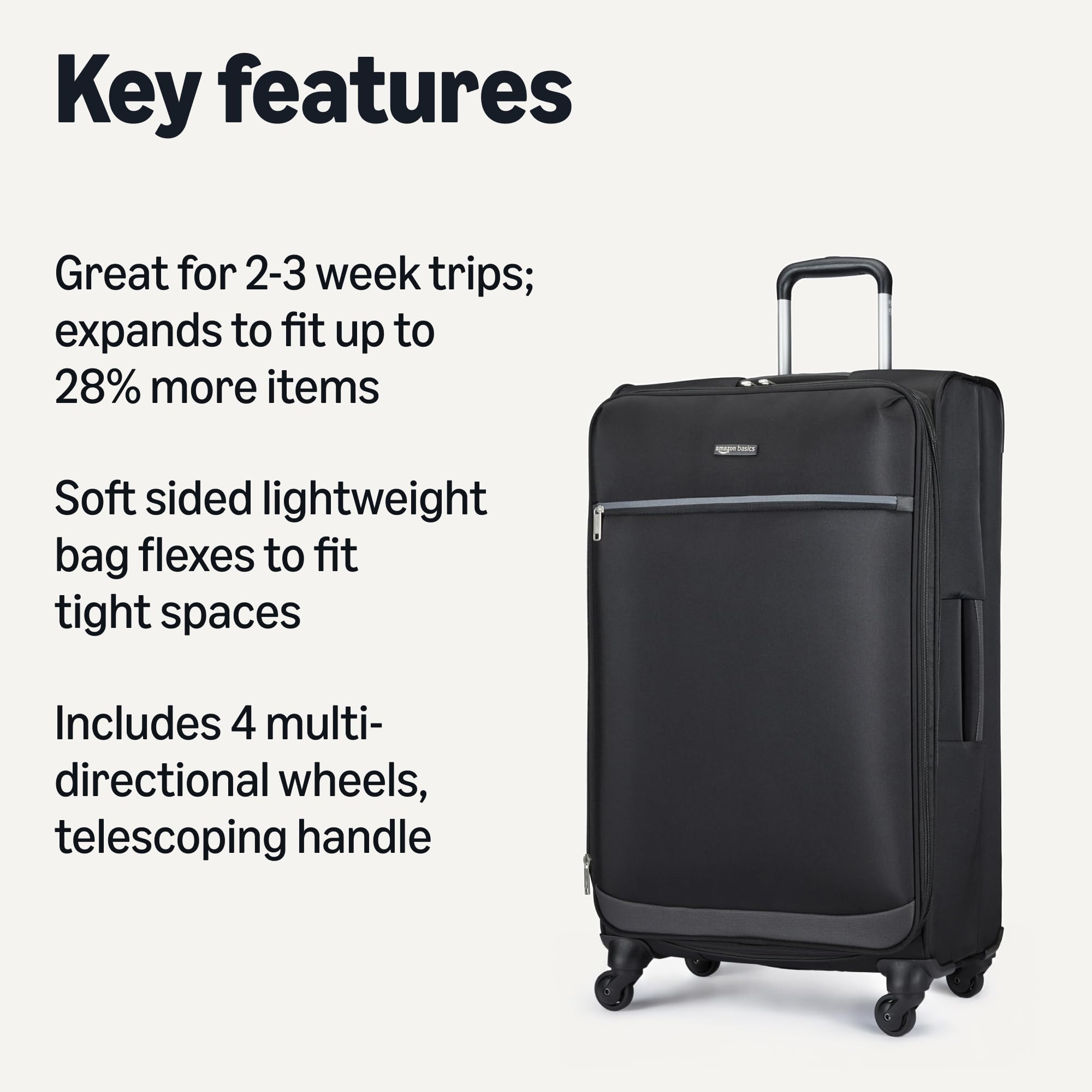 Amazon Basics Luggage, 28