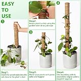 Remiawy Moss Pole 56 Inch 142cm 4 Pcs Coir Totem Pole for Monstera Indoor Plants view 5