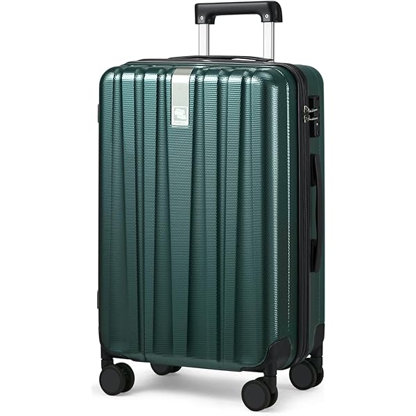 Amazon.com | Rimowa Classic Flight Carry on Luggage 28