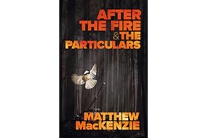 After the Fire & The Particulars