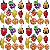 Sailanzi 20pcs Resin Fruit Series Pendant Jewelry Making DIY Keychain Earrings Pendant Various Design Charms for Jewelry Making Bracelets Necklace (SN543)