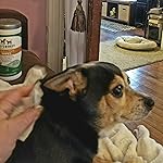 Review Image by North Womyn