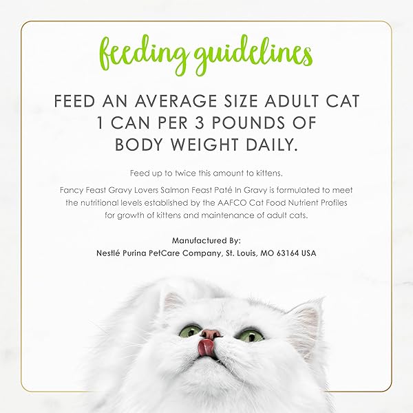 PURINA FANCY FEAST GRAVY LOVERS SALMON FEAST PATE IN WET CAT FOOD GRAVY – (PACK OF 24) 3 OZ. CANS
