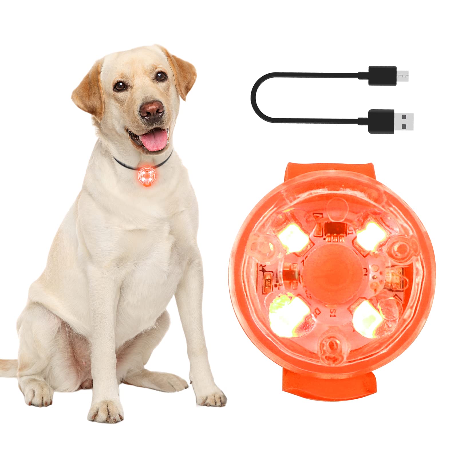 PowBear Lights for Dog Collars - 100% Waterproof - USB Rechargeable - Ultra Bright LED Collar Safety Light for Night Walking, Running, Biking - Orange