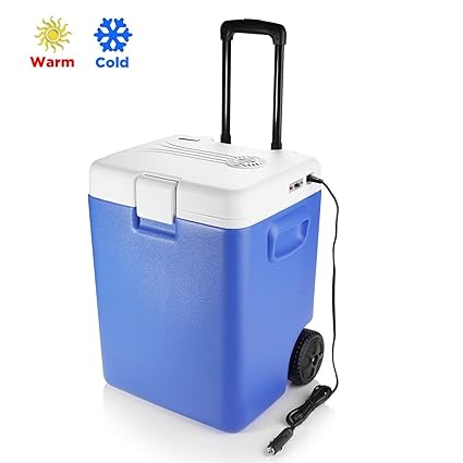 electric car cooler and warmer