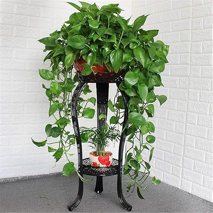 元の観葉植物 鉢 サイズ 測り方 すべての美しい花の画像
