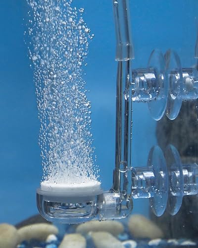 Pawfly Aquarium Air Stone Disc, Inch Tiny Fish Tank Air Stone