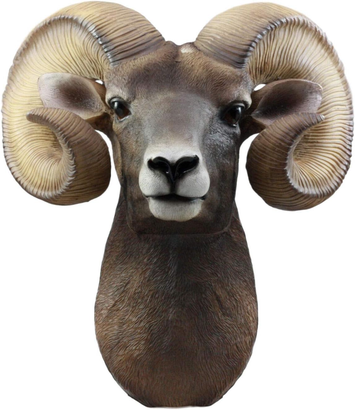 ShopForAllYou Figurines and Statues Rocky Mountains Bighorn Ram Trophy Taxidermy Wall Decor Sculpture Hanging Plaque