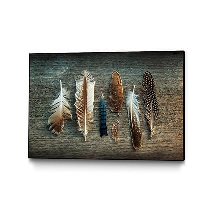 Amazon Com Giant Art Framed Wall Art Print Feather Collection